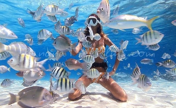 Snorkeling Trip At Port Ghalib Marina from Marsa Alam