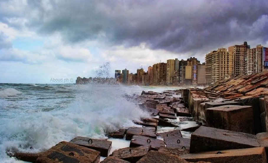 Half Day Tour in Alexandria Real Life