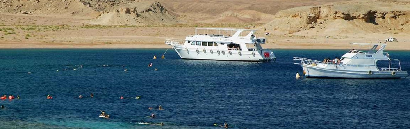 Snorkeling Trip from Safaga Port