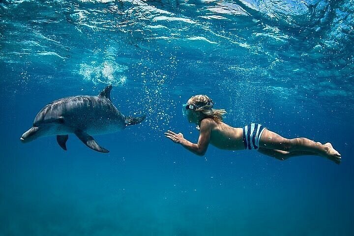 Snorkeling Trip & Excursion from Safaga Port